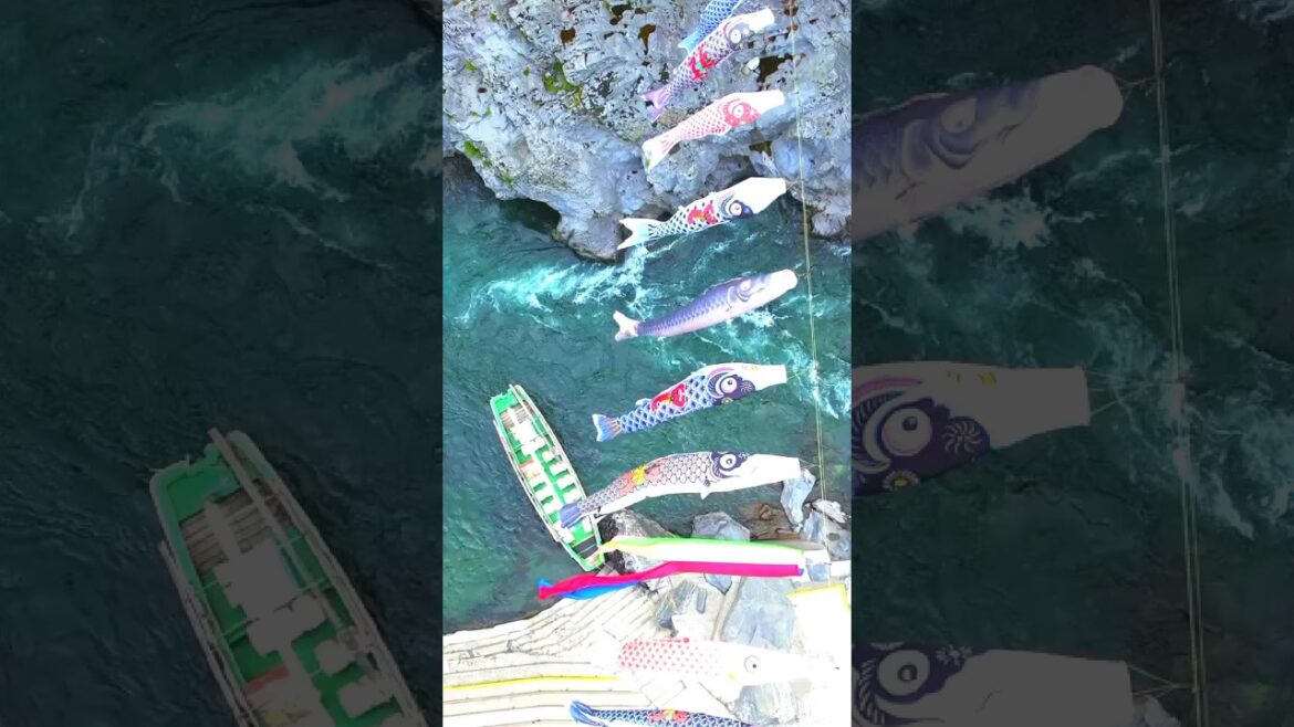 Japan Yoshino River/Miyoshi prefecture/Oboke Gorge /sightseeing/koinobori /kid’s day/ trip #shorts