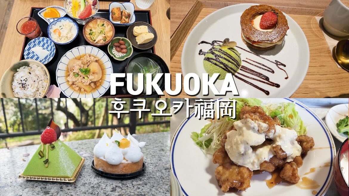 [여행vlog] 후쿠오카 여행 DAY.4 🌸 니시공원/후쿠오카타워/쟈크/카카치즈케이크/nooma_cafe  Fukuoka travel 福岡