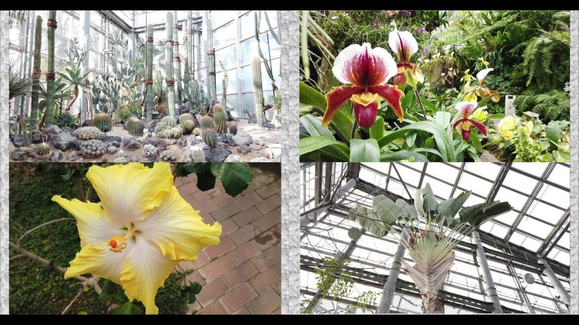 【Great Botanical garden】巨大温室で育てられた美しすぎる花々と巨大プラントの世界 World of  Beautiful Flowers and Giant Plants