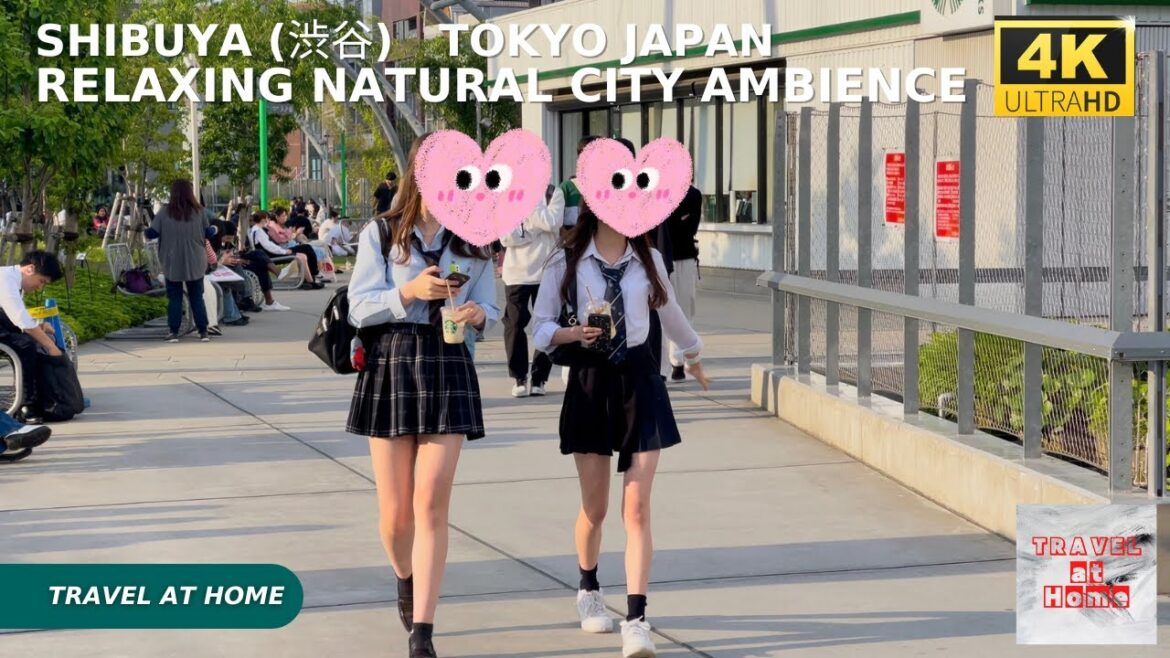 4k hdr japan travel | Walk to Shibuya (渋谷) Tokyo japan |  Relaxing Natural City ambience
