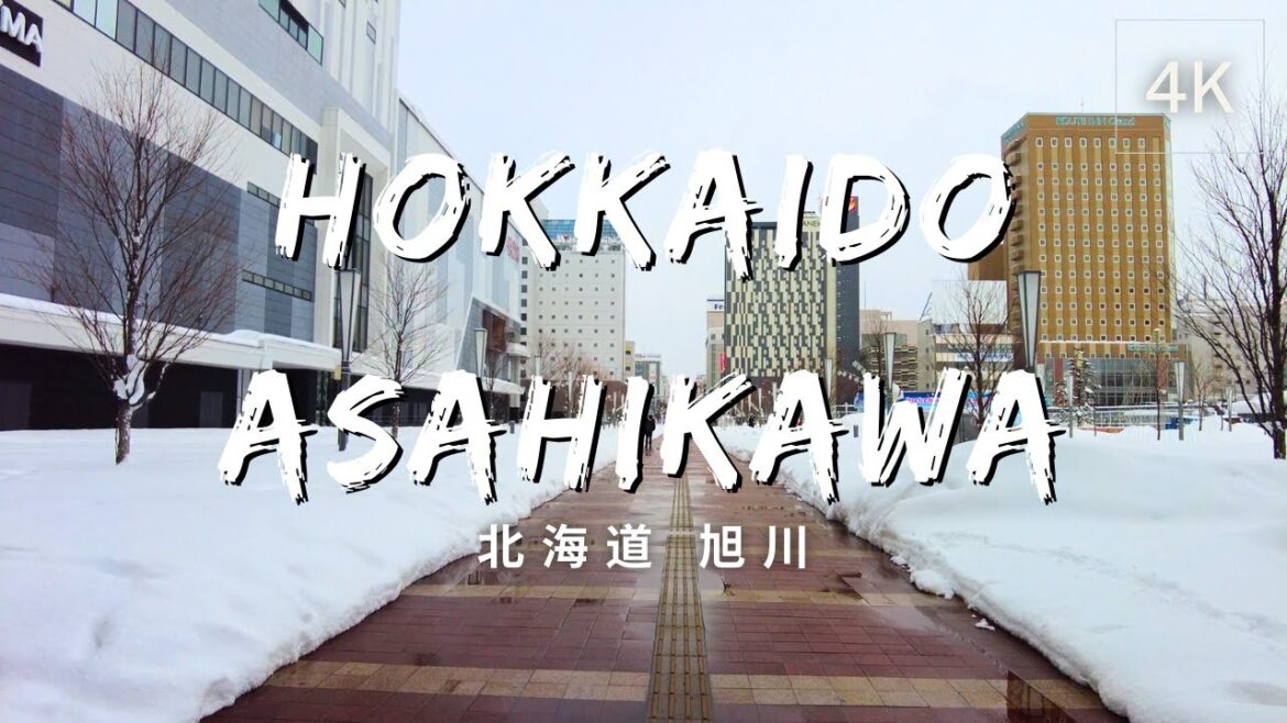 [4K] Asahikawa, Hokkaido, Japan | Random Shots | 日本 北海道 旭川 | Feb 2023