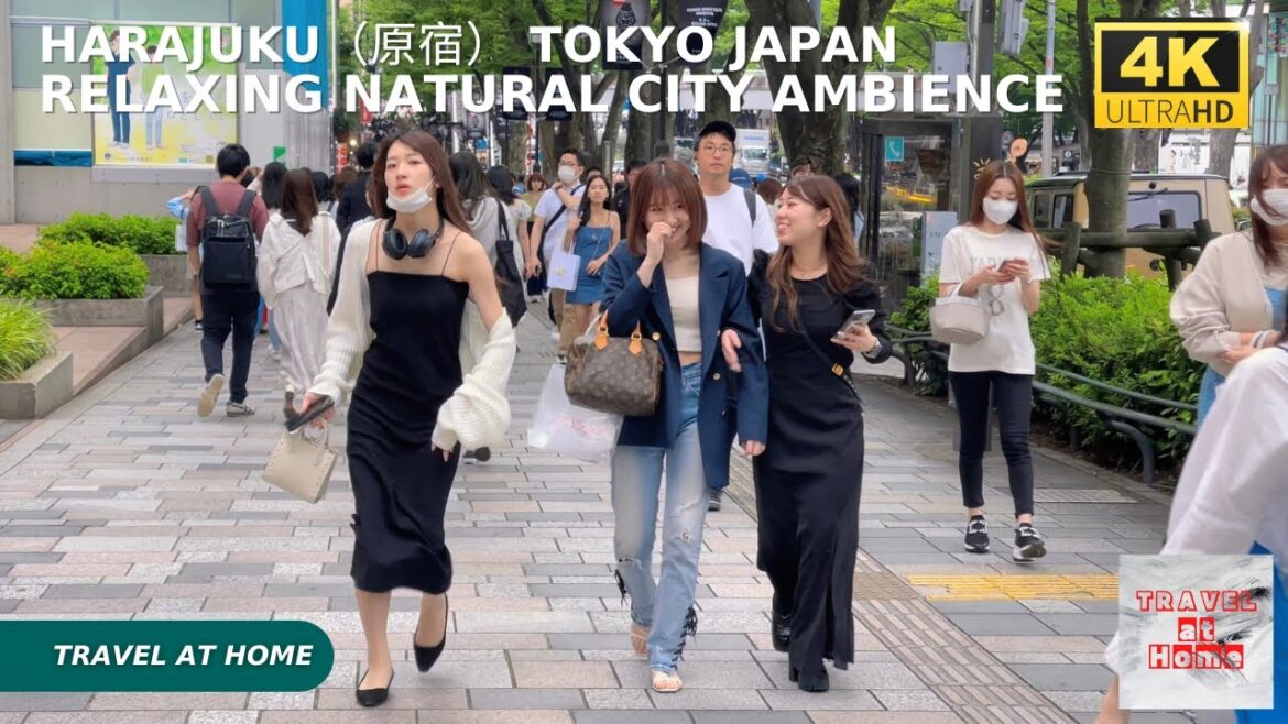 4k hdr japan travel | Walk in Harajuku（原宿）Tokyo japan |  Relaxing Natural City ambience