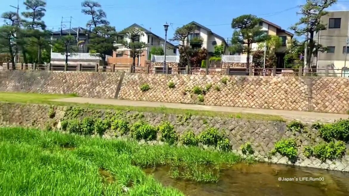 Ashiya River, Hyogo -Japan Ashiya River, Hyogo -Japan