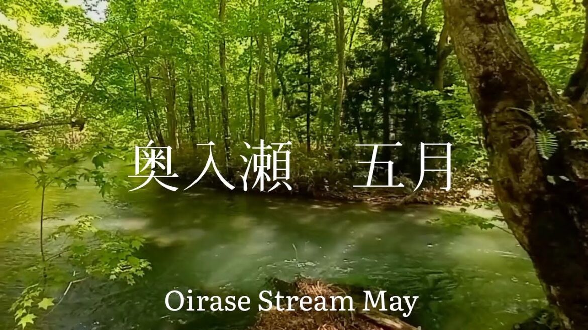 青森県観光 新緑の 奥入瀬渓流 五月 Aomori Prefecture Tourism Fresh Green Oirase Gorge May Japan 青森県観光 新緑の 奥入瀬渓流 五月 Aomori Prefecture Tourism Fresh Green Oirase Gorge May Japan