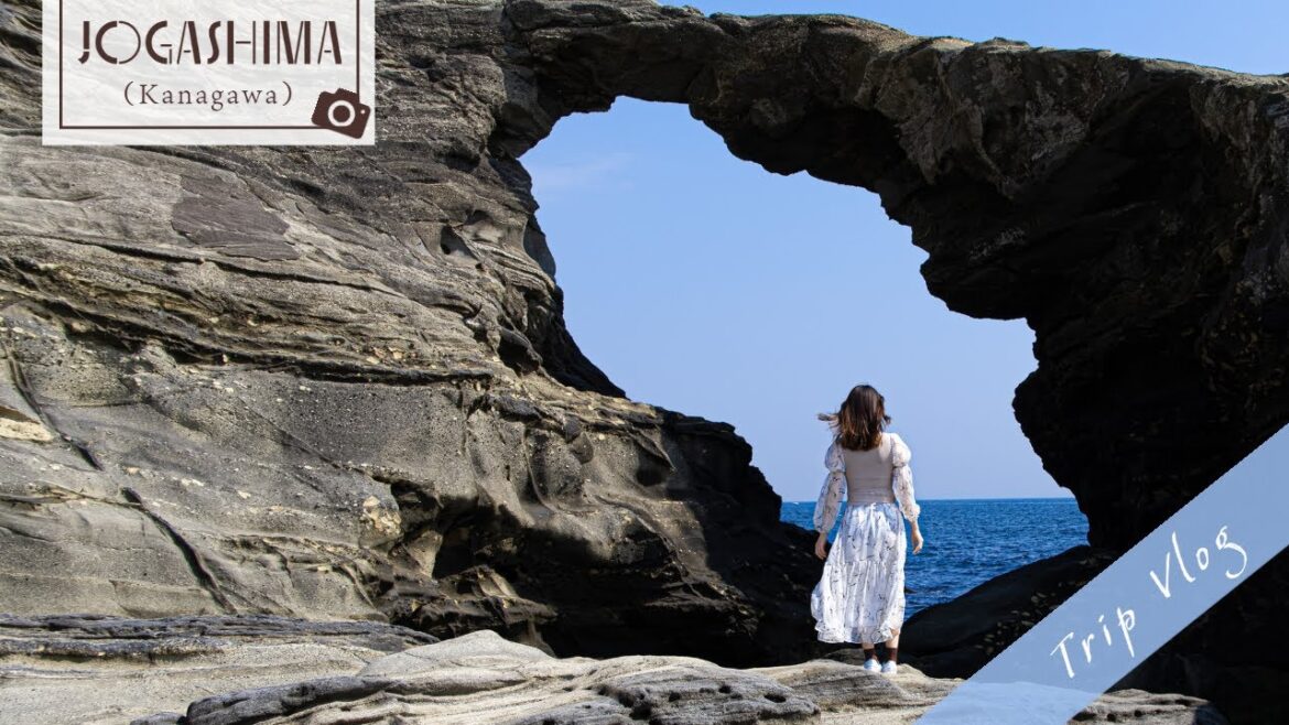 A day trip from Tokyo to Jōgashima.Blue sea and tuna don.🐟 A day trip from Tokyo to Jōgashima.Blue sea and tuna don.🐟