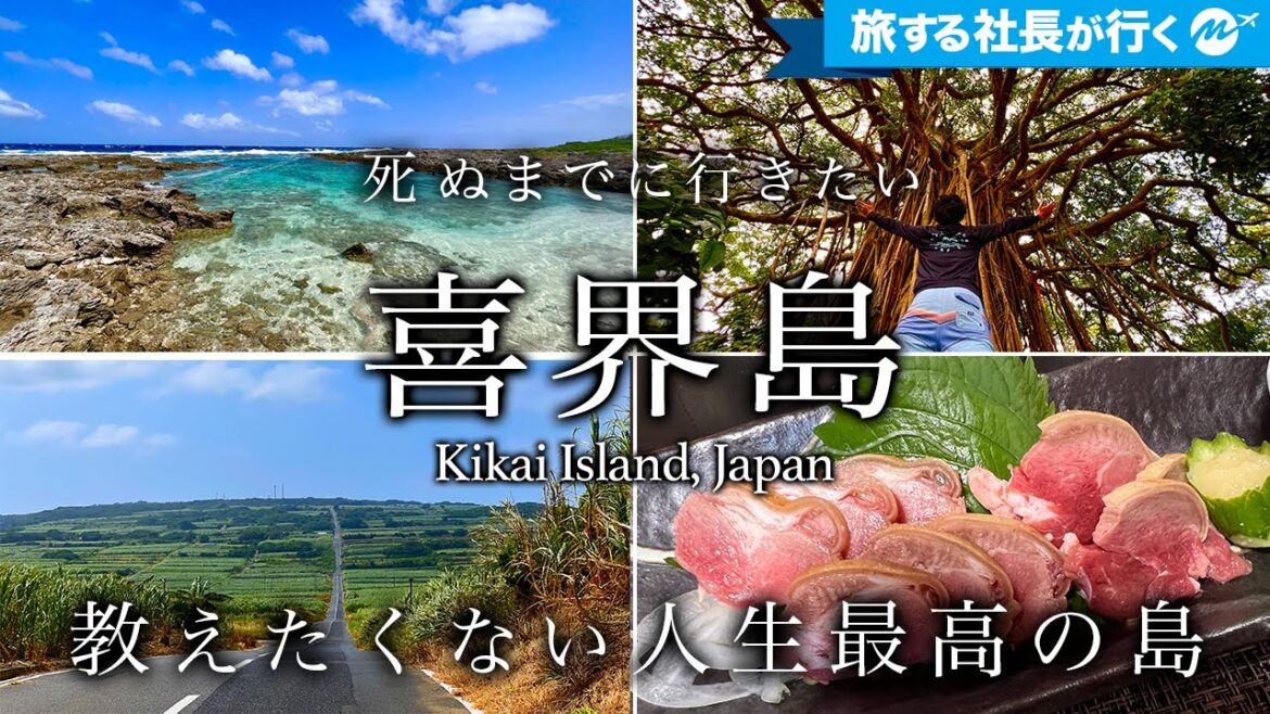 【保存版】喜界島43歳ひとり旅。奄美大島の隣にあるサンゴでできた島が観光客に優しすぎて最高すぎた！おすすめ絶景スポット【鹿児島・奄美群島・離島・旅行・観光】Kikai Island, Japan