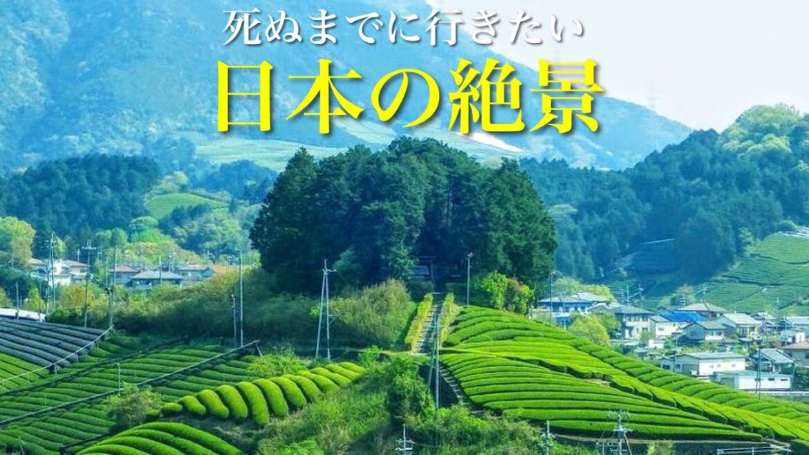 【本当は教えたくない】幻想的な京都の穴場 / 日本で最も美しい村の絶景 / 京都の原風景、和束町の茶畑 / 死ぬまでに行きたい日本の絶景 【本当は教えたくない】幻想的な京都の穴場 / 日本で最も美しい村の絶景 / 京都の原風景、和束町の茶畑 / 死ぬまでに行きたい日本の絶景