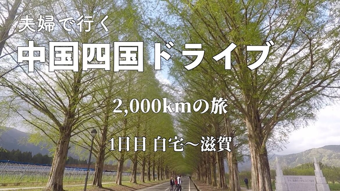 【夫婦旅】中国四国地方ドライブ#1 琵琶湖・メタセコイヤ並木