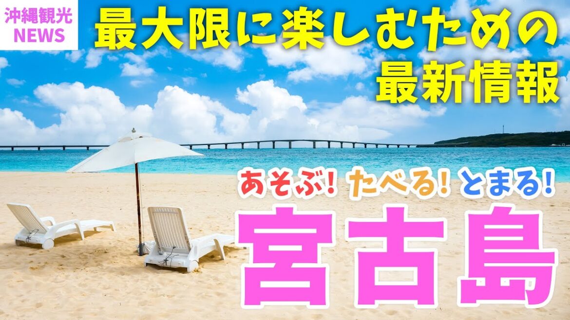 【宮古島・2023年最新ローカル情報】おすすめ新店舗・観光地・国際イベント!旅行前必見の最新情報をこの動画でチェック! | 沖縄 | 旅行 | 紹介 | Okinawa 【宮古島・2023年最新ローカル情報】おすすめ新店舗・観光地・国際イベント!旅行前必見の最新情報をこの動画でチェック! | 沖縄 | 旅行 | 紹介 | Okinawa