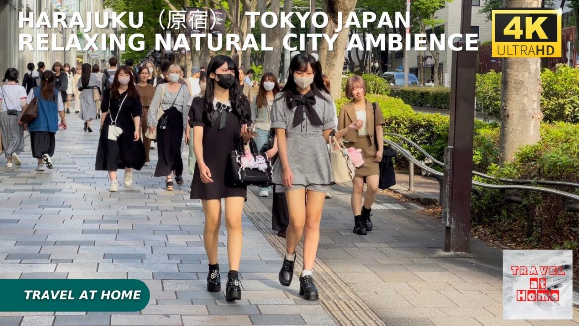 4k hdr japan travel | Walk in Harajuku（原宿）Tokyo japan |  Relaxing Natural City ambience
