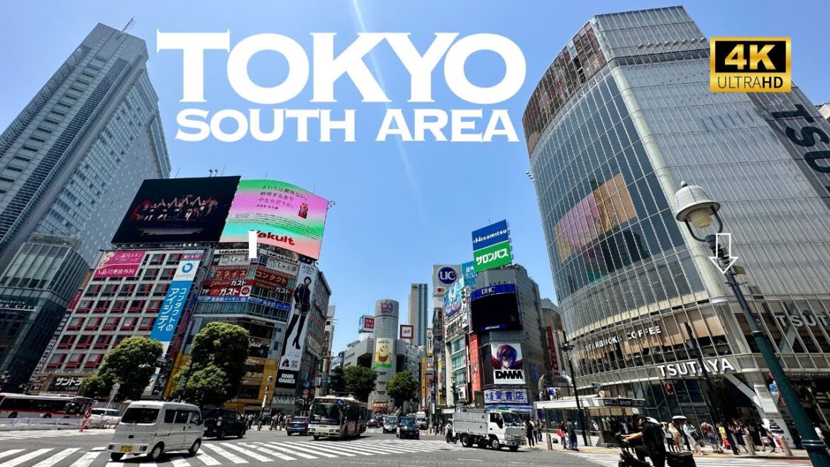 [4K] Shibuya→Ebisu→Meguro→Gotanda→Shinagawa→Takanawa Gateway→Shimbashi→Ginza 🐧 Tokyo Walking Tour