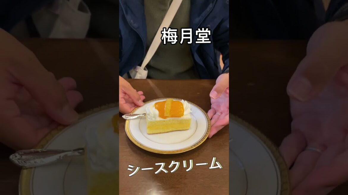 リアル桃鉄たび「長崎編」#shorts リアル桃鉄たび「長崎編」#shorts