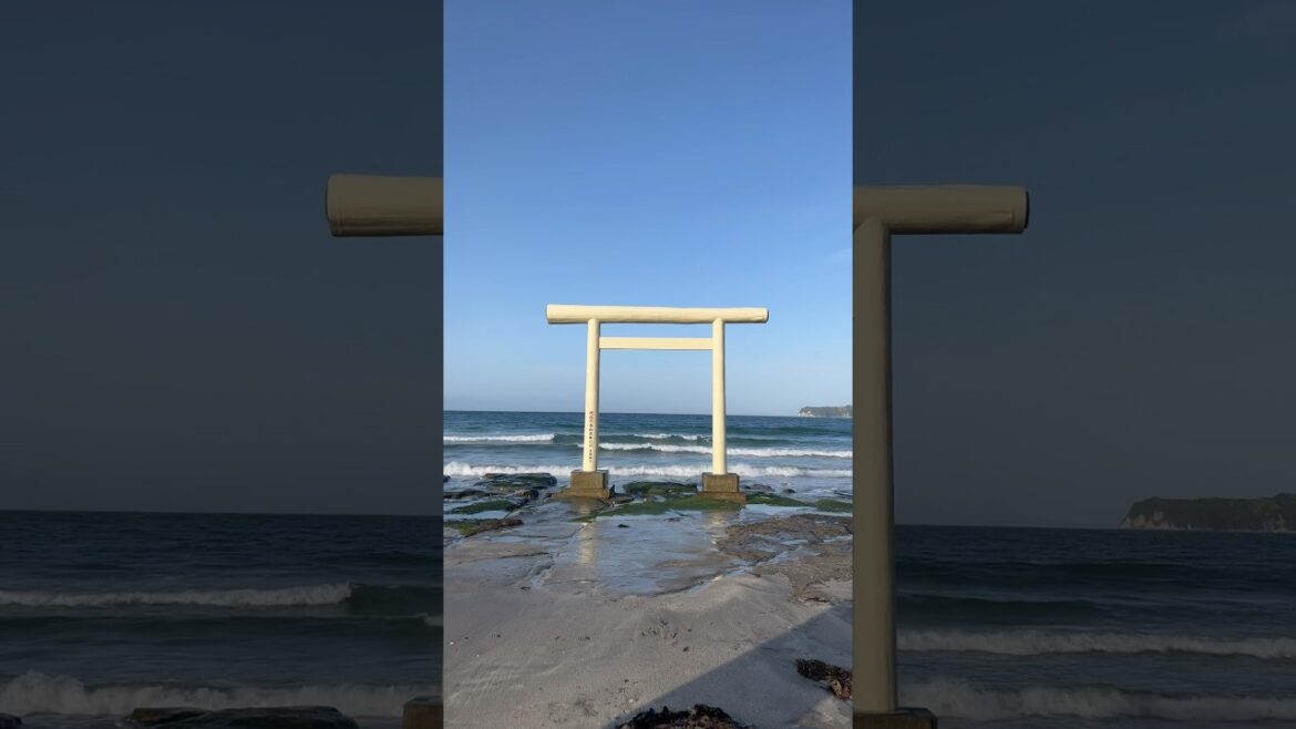 八坂神社一ノ鳥居 #shorts #千葉 #chiba #ocean #oceanwaves #japan #travel #japantravel #shrine #鳥居 #八坂神社一ノ鳥居