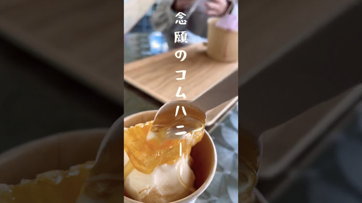 沖縄スイーツ激旨養蜂屋のハチミツのアイス。#おきなわ養蜂 #沖縄グルメ #shorts 沖縄スイーツ激旨養蜂屋のハチミツのアイス。#おきなわ養蜂 #沖縄グルメ #shorts