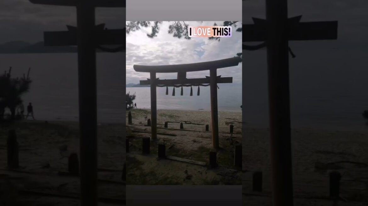 Part 4 – Day 1 ~ Following pilgrimage steps of Ancient Japan  #japantravel #shorts #shamisen Part 4 - Day 1 ~ Following pilgrimage steps of Ancient Japan  #japantravel #shorts #shamisen