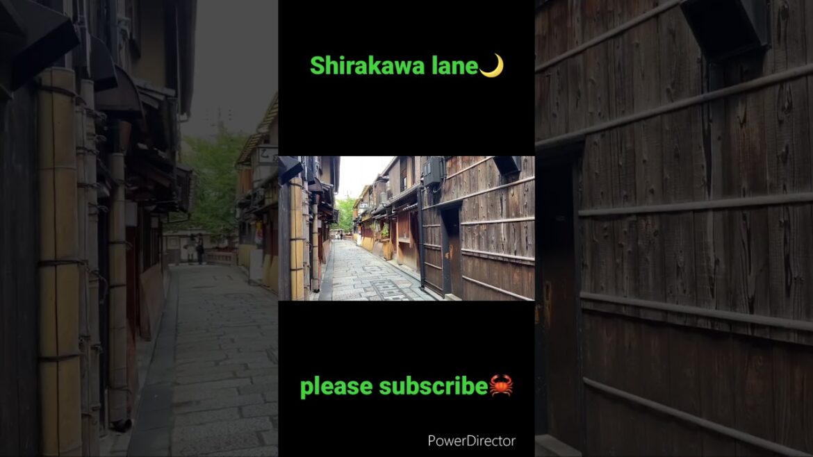 【KYOTO 】Shirakawa lane #kyoto #shorts #japan #travel #walking #pleasesubscribe #whatsappstatus