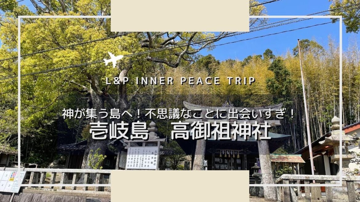 神社に呼ばれるって、こういうこともある！｜壱岐島　高御祖神社｜takamioyajinja Iki Island nagasaki Japan