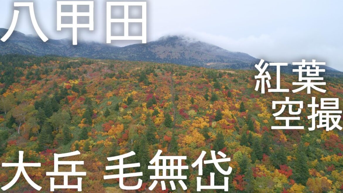 【八甲田】大岳山頂と毛無岱の紅葉 空撮【青森県青森市】4K60P Hakkoda Mountains Aerial shot【Aomori Prefecture】 【八甲田】大岳山頂と毛無岱の紅葉 空撮【青森県青森市】4K60P Hakkoda Mountains Aerial shot【Aomori Prefecture】