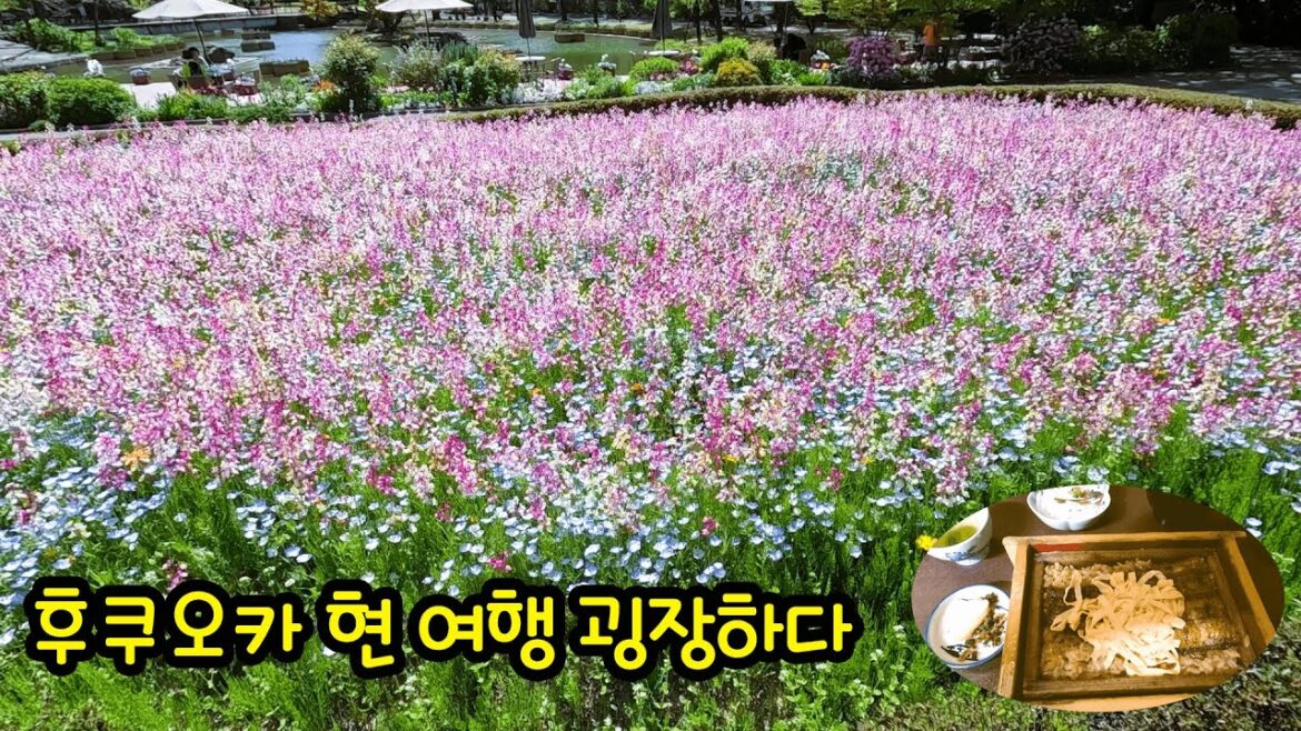 후쿠오카 현 여행하기 - 🇯🇵일본전국여행#13[일본여행 - 후쿠오카, 구루메]