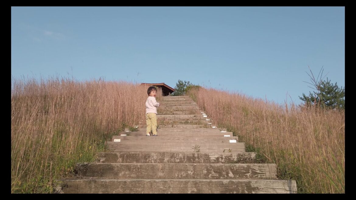 【滋賀日産リーフの森】自然と人工の融和 道の駅 こんぜの里りっとう 【滋賀日産リーフの森】自然と人工の融和 道の駅 こんぜの里りっとう