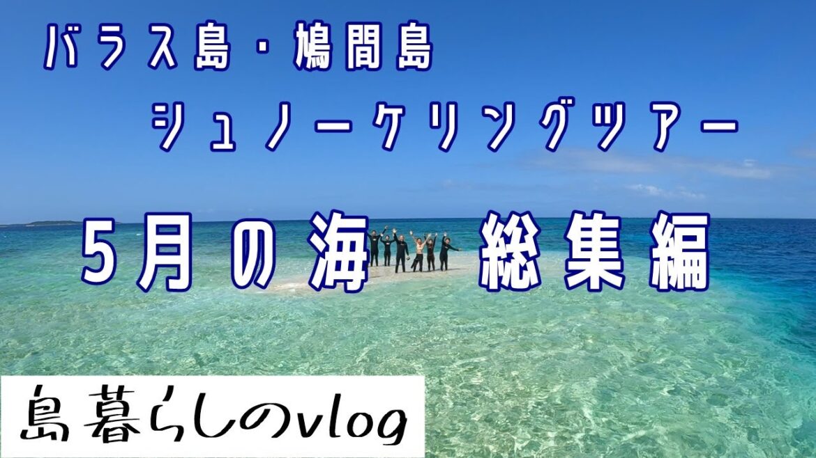 西表島バラス島・鳩間島シュノーケリングツアー/5月総集編/No.225