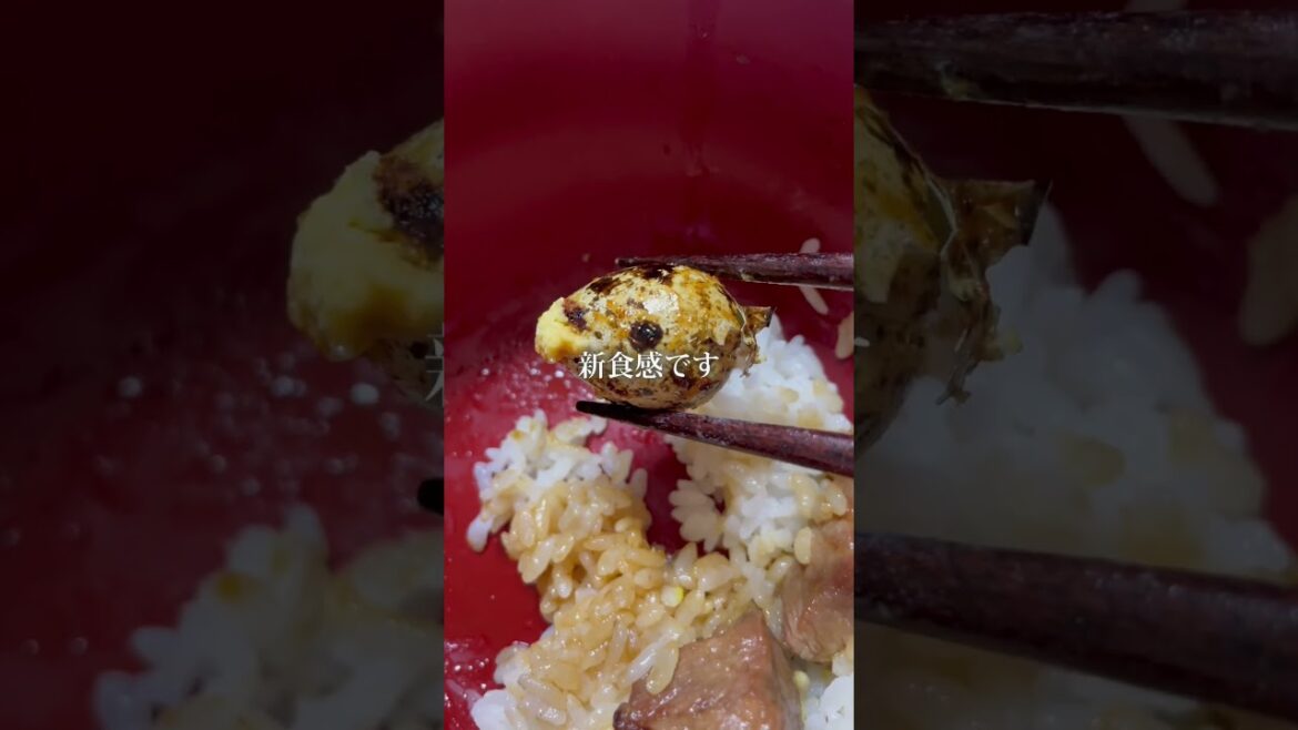 まじすか「殻ごと食べる卵」食べてみた #shorts