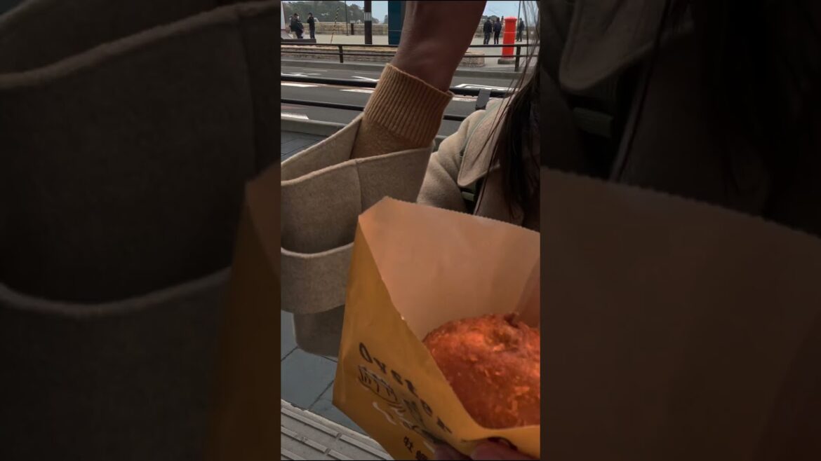 ชมซากุระที่ Sendai แบบ One day trip