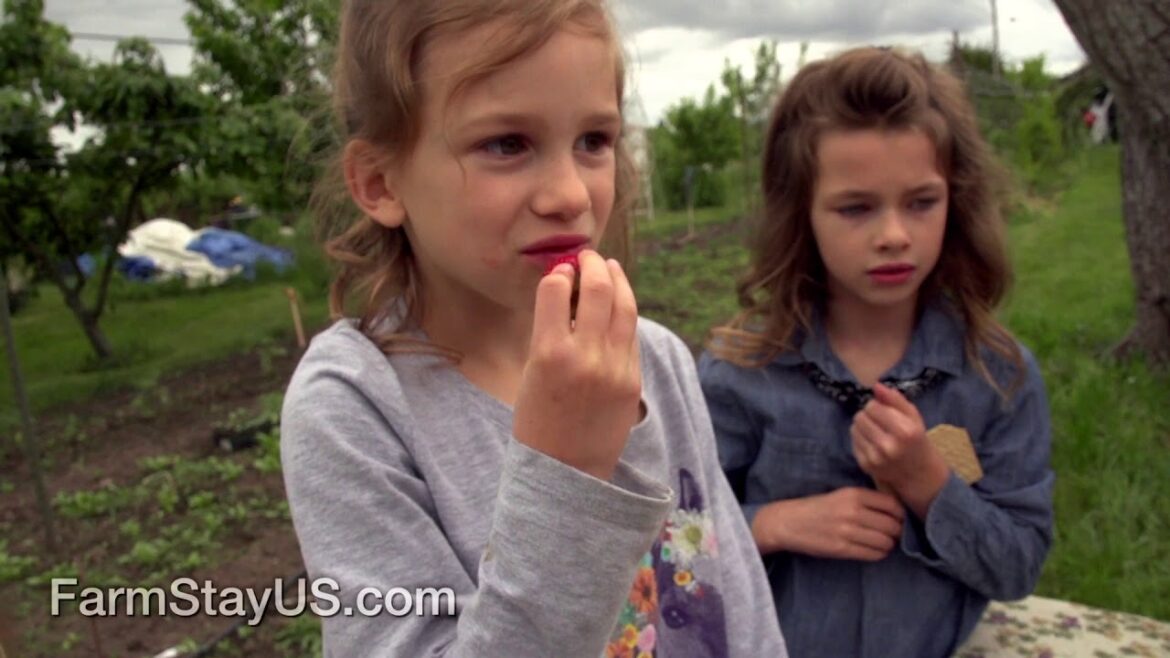 Book a US Farm Stay Vacation Today! Book a US Farm Stay Vacation Today!