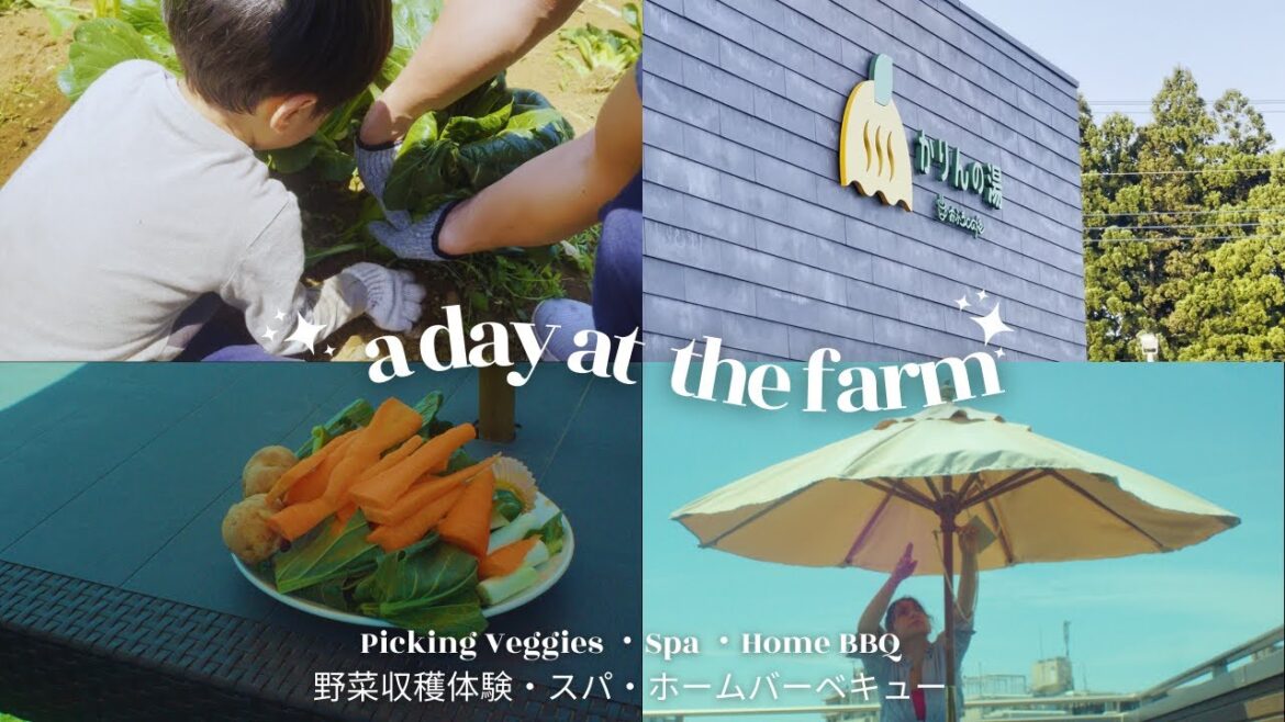 Family Fun at The Farm | Vegetable Picking, Spa, Home BBQ | One hour from Tokyo