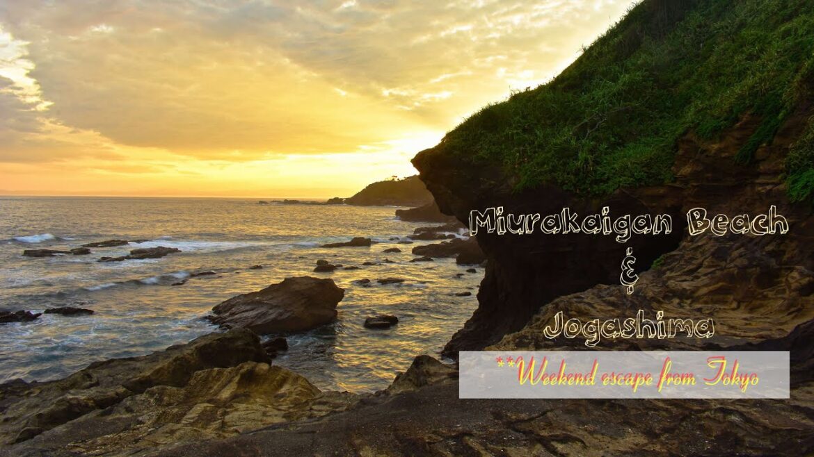 Miura beach & Jogashima, places to enjoy the summer days | #三浦海岸 | #城ケ島公園