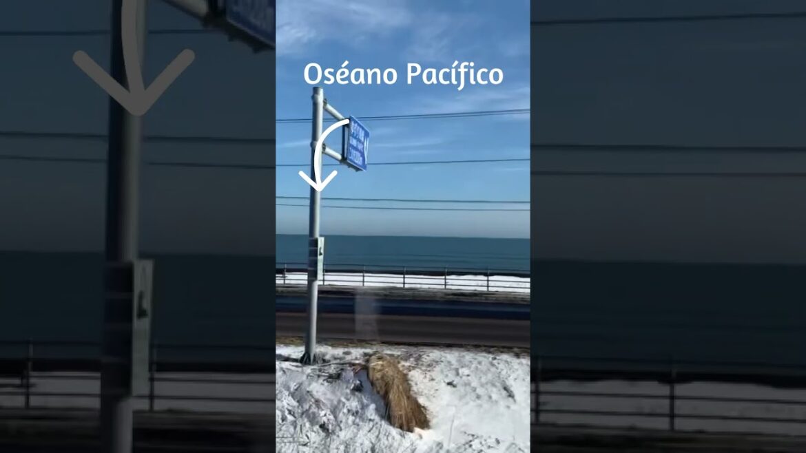 El viaje de tren local (la línea Principal de JR Nemuro) 2: Hokkaido, Japón #shorts