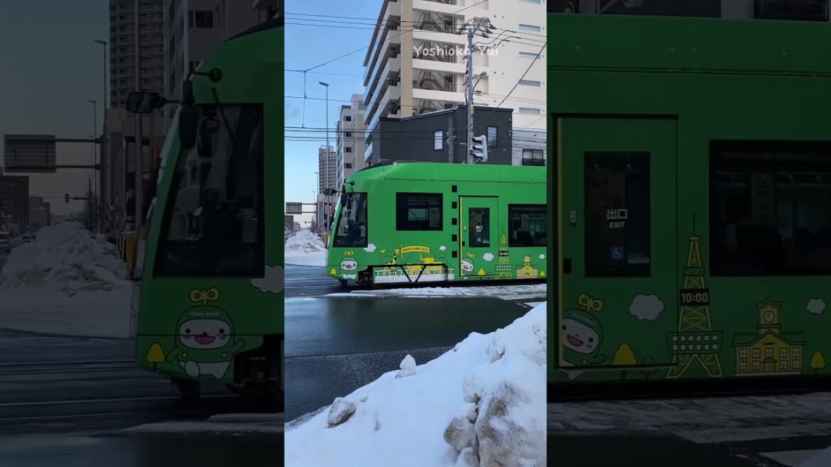 Mini Vlog Japan Ep. 1#shorts #japan