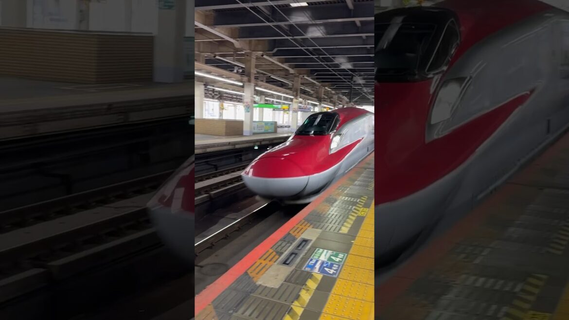 Shinkansen 🚅 Hayabusa heading north #tokyo #hayabusa #bullettrain #shinkansen #japan #japantravel