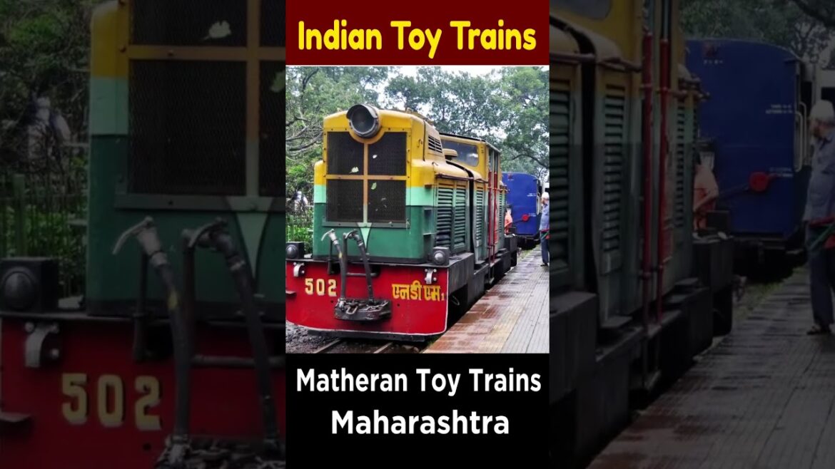 most beautiful toy trains in India | #shorts #youtubeshorts #short