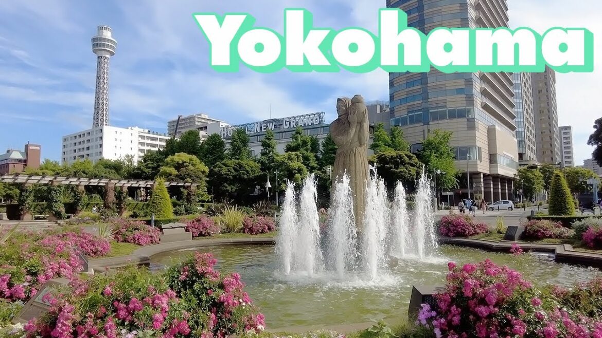 Yokohama🇯🇵 Walking Tour - June 2023 | Kanagawa,Japan 横浜散歩 山下公園
