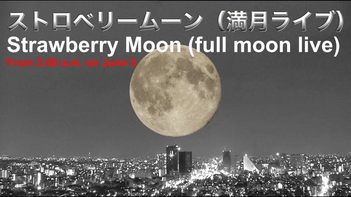ストロベリームーン、満月、東京ライブ夜の部。流星!紅富士TOKYO LIVE CAMERA, night view. ストロベリームーン、満月、東京ライブ夜の部。流星!紅富士TOKYO LIVE CAMERA, night view.