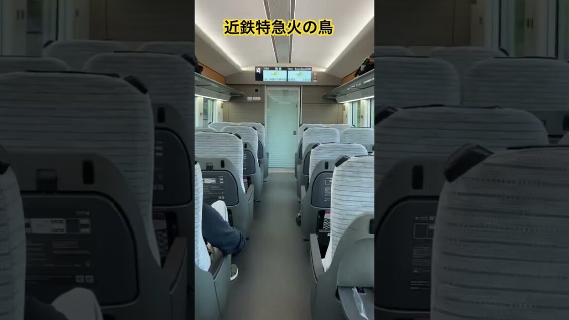Japan's Ultra-Modern Kintetsu Hinotori Train: Exclusive Tour & Travel Experience 🚆🇯🇵