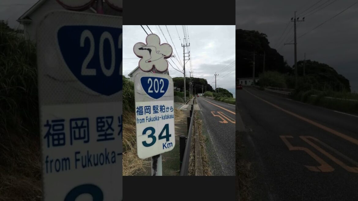 Part 4 – Day 2  ~ Following pilgrimage steps of Ancient Japan  #japantravel #shorts #wanderlust #now Part 4 - Day 2  ~ Following pilgrimage steps of Ancient Japan  #japantravel #shorts #wanderlust #now