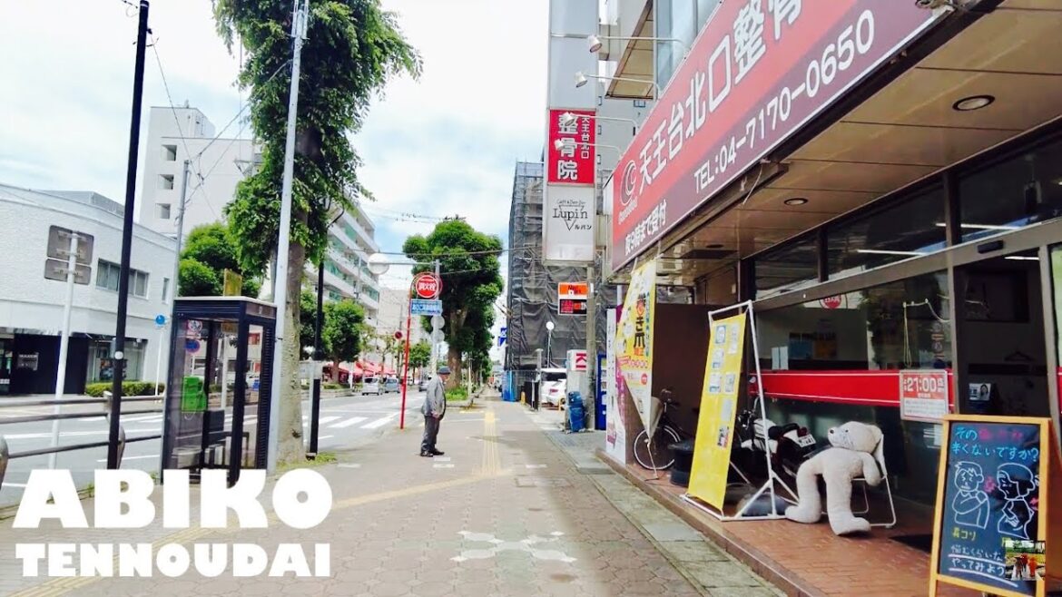 【🇯🇵4K】千葉県我孫子市の柴崎台のお散歩　～天王台駅北口からくすの木通りを歩く～　　【Shibasakidai in Chiba】