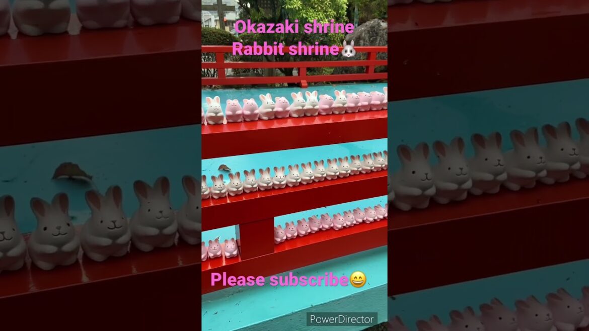 【KYOTO 】Okazaki Shrine #kyoto #shorts #japan #travel #walking #pleasesubscribe #cafe #rabbit 【KYOTO 】Okazaki Shrine #kyoto #shorts #japan #travel #walking #pleasesubscribe #cafe #rabbit