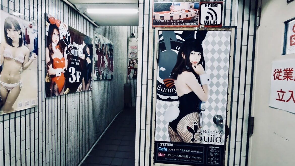 [Japan Travel] AKIHABARA: the Dark Side