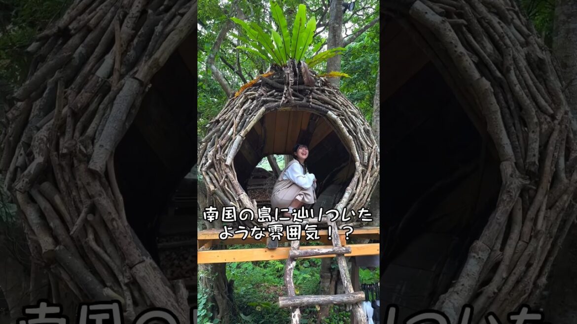 【沖縄】森の中の写真スタジオに行ってみたら衝撃だった！？ #shorts