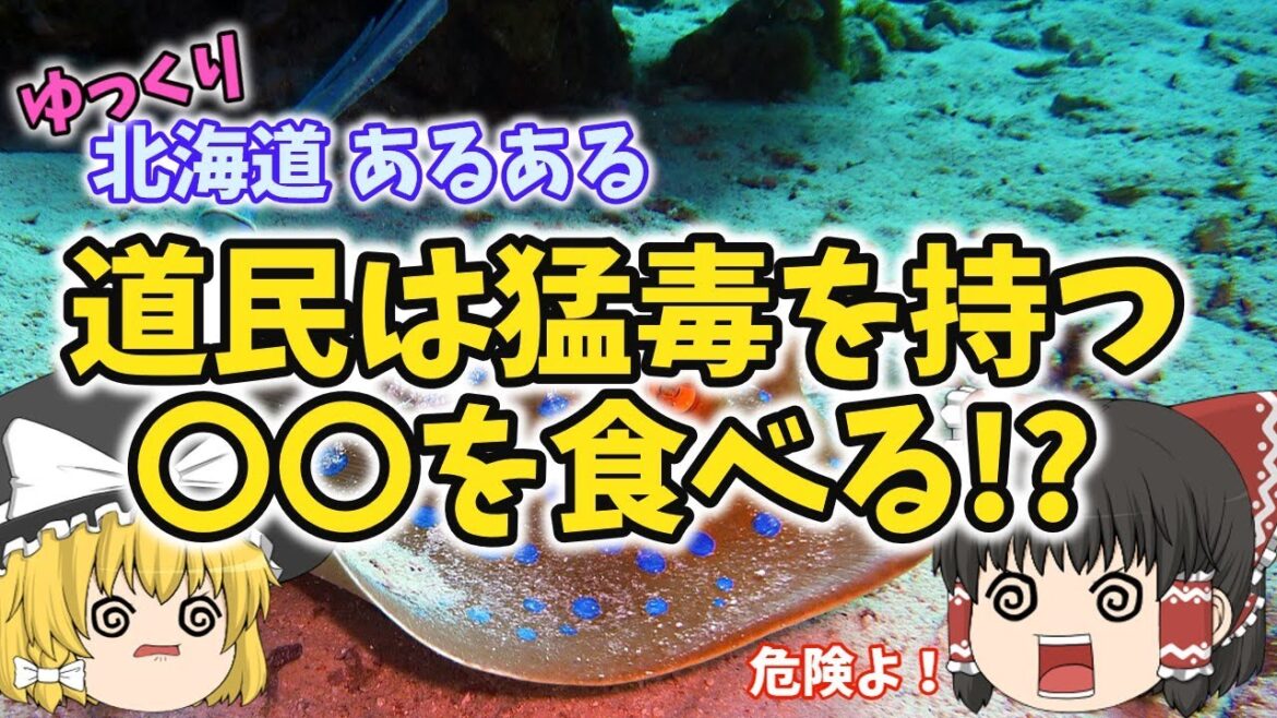 【ゆっくり解説】北海道あるある〖食べもの編〗道民が大好きな毒持ちのお魚とは!? 北海道旅行の前に必見! 【ゆっくり解説】北海道あるある〖食べもの編〗道民が大好きな毒持ちのお魚とは!? 北海道旅行の前に必見!