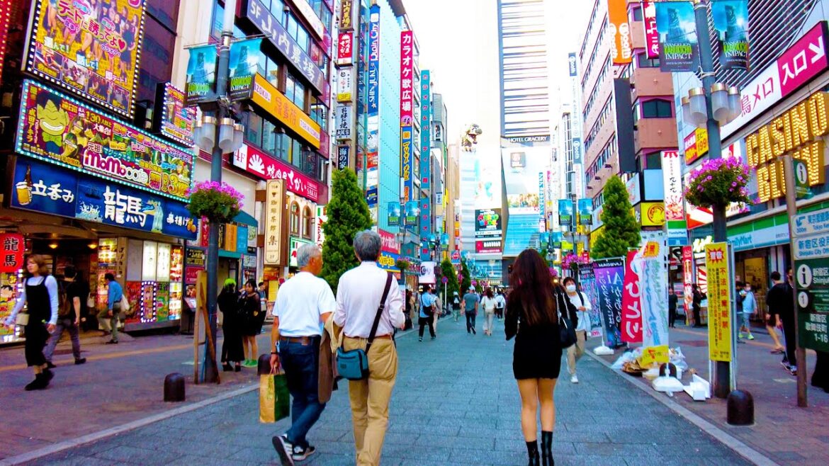 Shinjuku in Tokyo 🐶🍻 Pedestrian heaven Kabukicho♪💖4K ASMR non-stop 1 hour 04 minutes