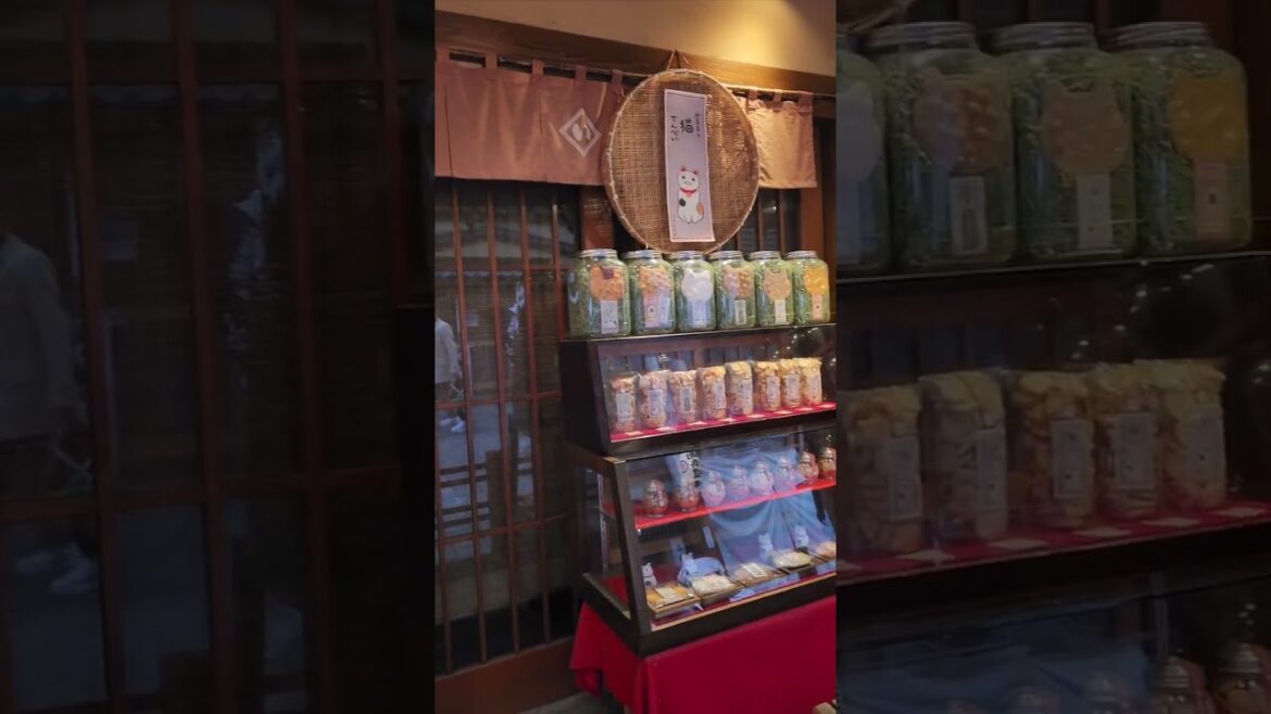 A Traditional Japanese Snack Shop in Asakusa #shorts #Japan #japanese #japanculture #ancient #travel