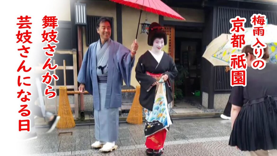 [2023/5/29]降りしきる雨にも妖艶な姿！祇園の舞妓さんが芸妓さんに！梅雨入りの花見小路で「衿替え」