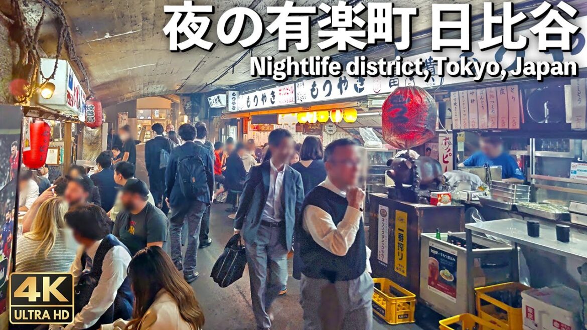[4K]🇯🇵 夜の散歩 有楽町 日比谷 高架下 賑わう飲み屋街 /  Tokyo, Japan. Nighttime drinking district.[Binaural Audio]