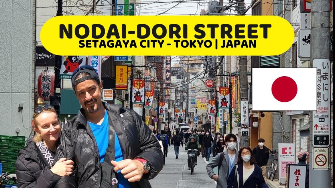 **TOURIST FREE ZONE** Nodai-Dori Walking street - Setagaya City - TOKYO | JAPAN