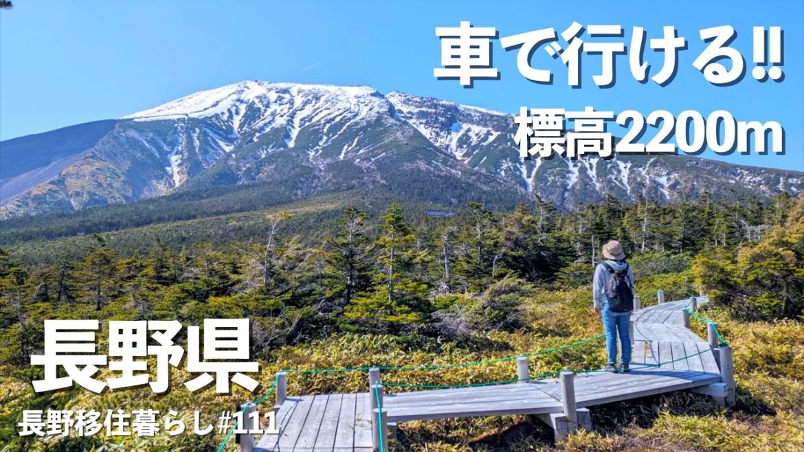 【長野移住】車で楽々アクセス!!標高2200mの散策は大絶景だった!!｜御嶽｜開田高原｜ドライブ｜田舎暮らし｜長野県｜4K