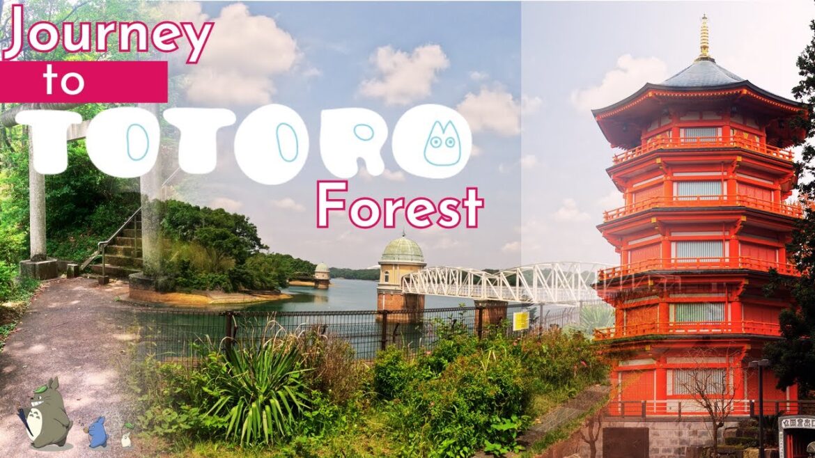 4K Journey to TOTORO’s forest and Sayama Hills cycling in Saitama 4K Journey to TOTORO's forest and Sayama Hills cycling in Saitama